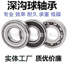 0S6210 6212 6213 6214 ZZ 2RSd