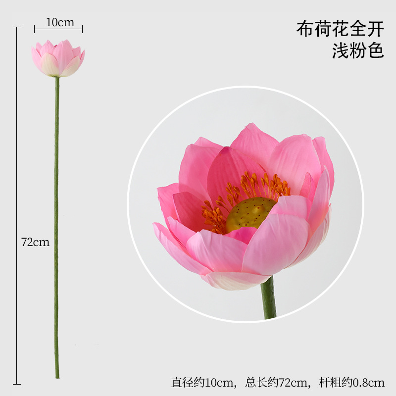 연꽃이 활짝 핀 연분홍색