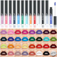 Cross-border foreign trade specializes in makeup DUNUF 32-color lip glaze matte matte long-lasting lip gloss lipstick Halloween wholesale