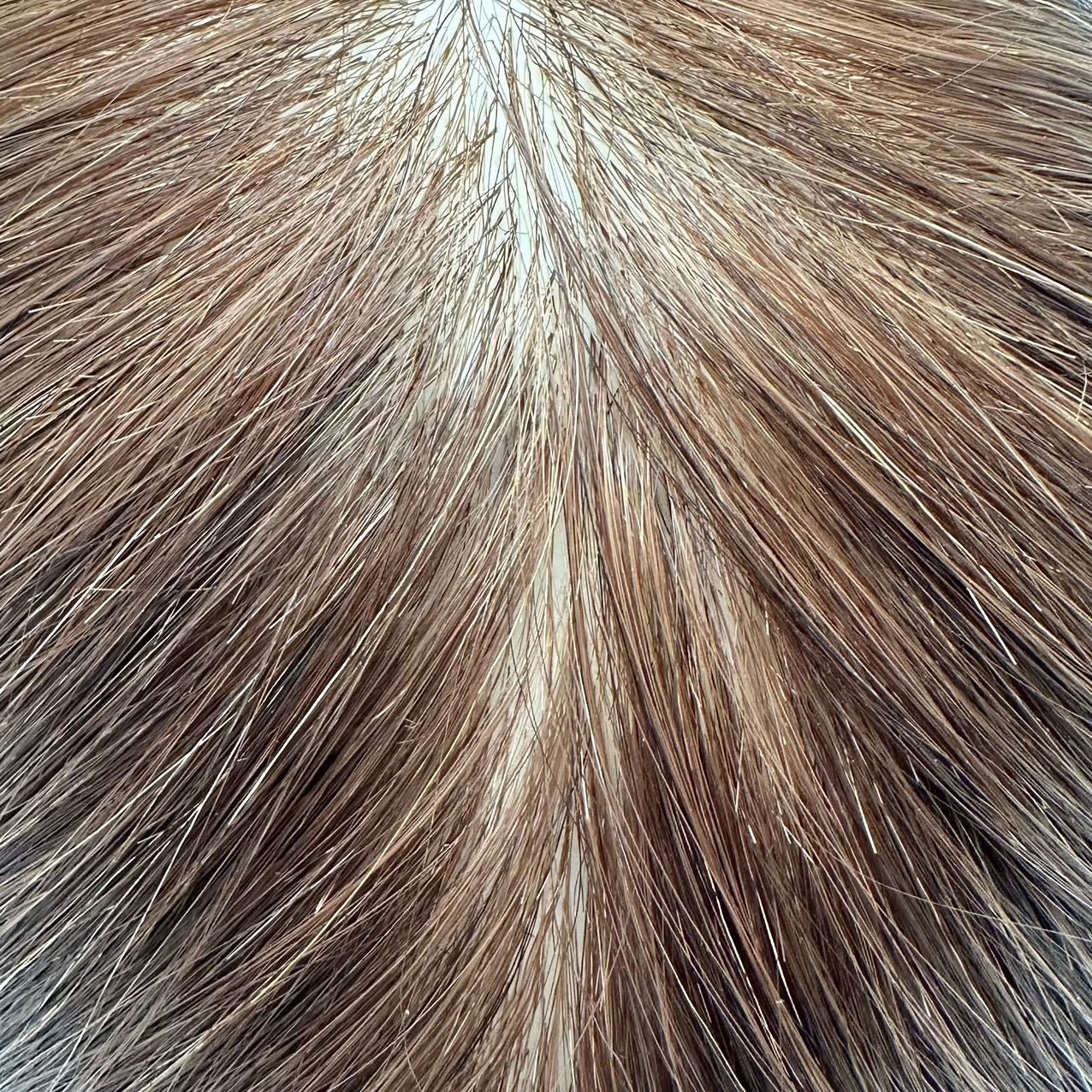 Perruca de cabello verdadero modelo de cabeza de entrenamiento de cabello trenzado modelo de cabeza de entrenamiento de cabello de cabello verdadero modelo de cabeza de corte de soplado