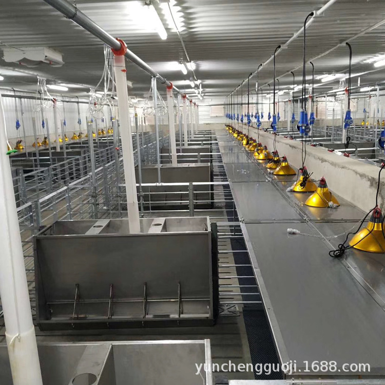 橡胶猪舍垫 8mm龟背纹保温垫  小猪保育垫 云程货源