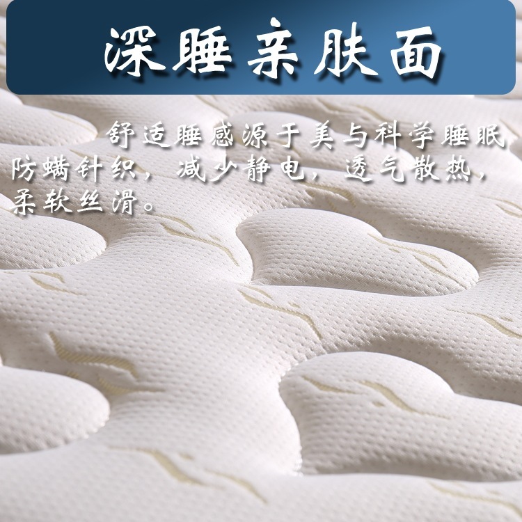 天然椰棕床垫十护脊棕垫3e棕榈偏硬折叠榻榻米|undefined