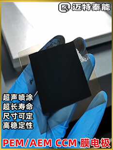 PEM�|�ӽ��QĤĤ늘OCCM��ˇ�����TPt/�K̼AEM�߻�������ܶ���