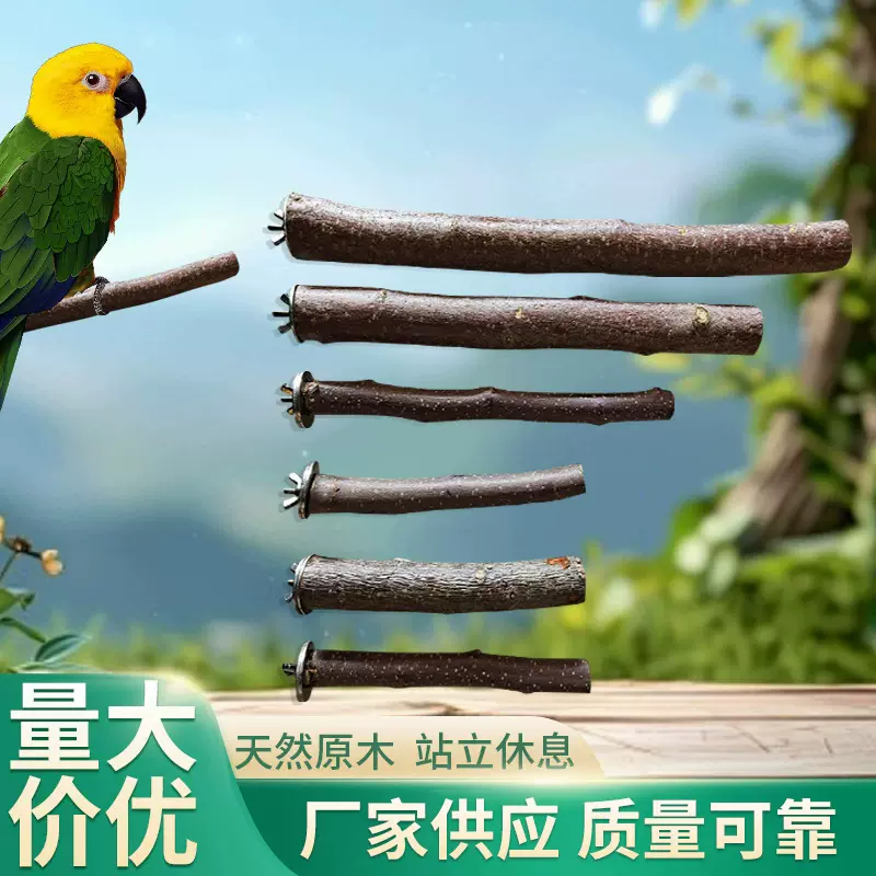 亚马逊鸟类磨爪棒嘴磨砂鹦鹉站杆用品苹果木非花椒木鸟笼玩具站杠