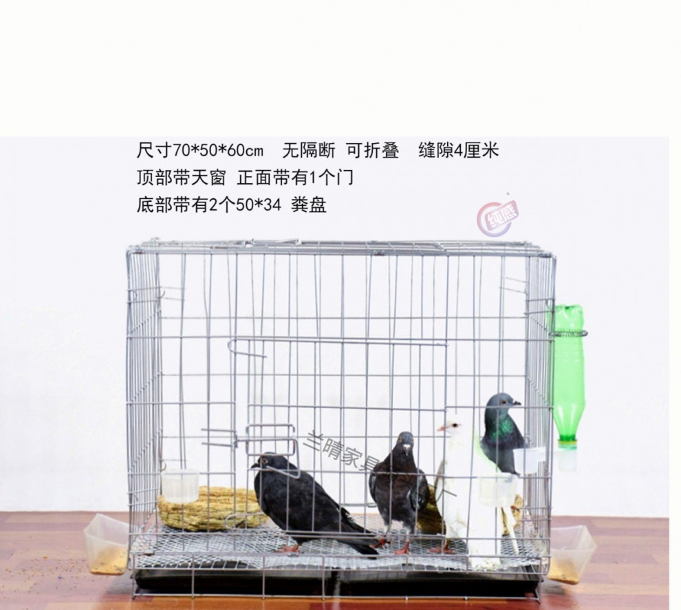 29cd7231-bf17-4722-bcfb-a8e7f910b2b3.jpe