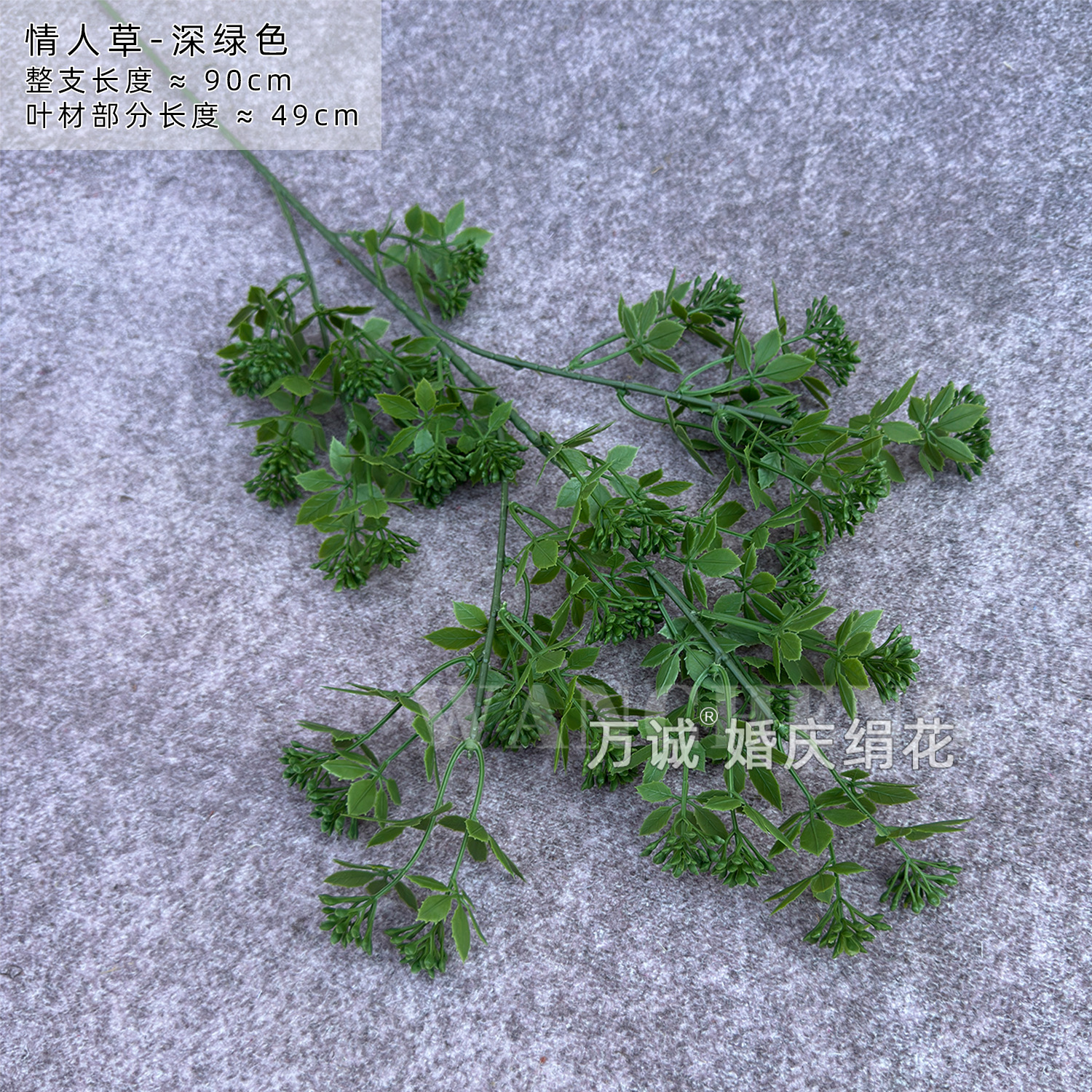 Lover's grass dark green