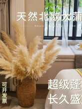 ��Ȼ�JȔ�ɻ��W�t�滨�͏d�[����Y������Ȕ�����������ins�[��