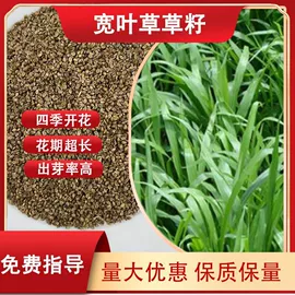 一二年生花卉;林业副产品;其他园林植物