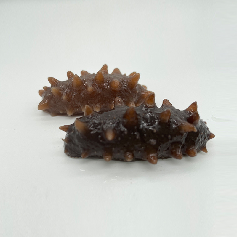 Russia Imported Dried sea cucumber dried food Replenish water product Nutrition sea cucumber Restaurant Ingredients Seafood wholesale