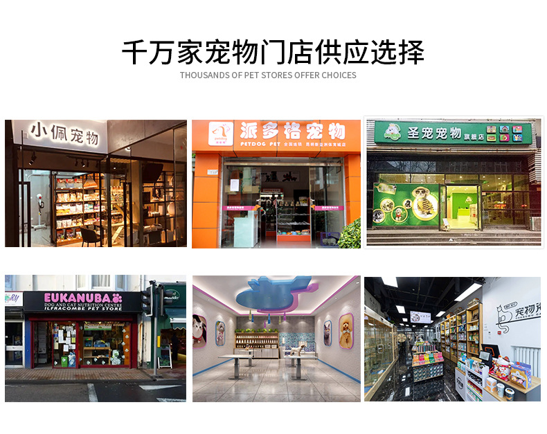 海狸店宠物祥情页模板_04