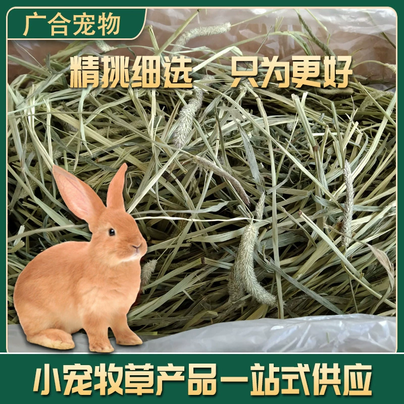 Сушеная трава тимофеевка для кроликов, сена для шиншилл, корм для морских свинок, корм для кроликов, корм для морских свинок, коробка 1 кг