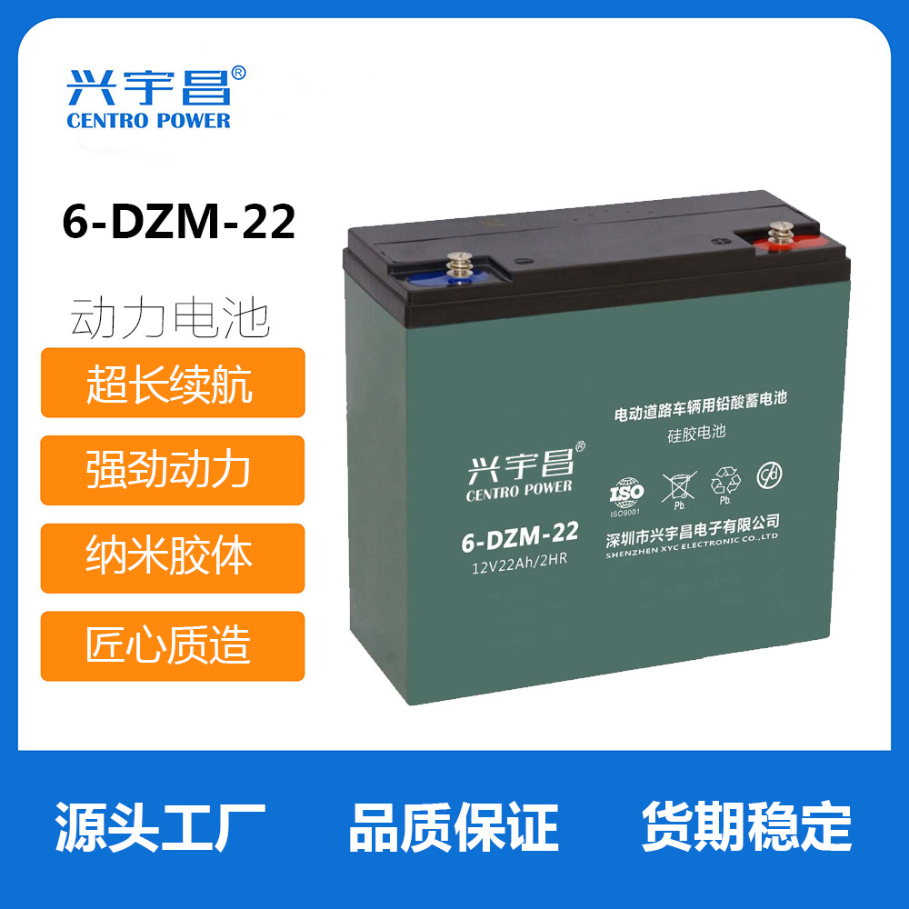 12V22AH  6-DZM-22  电动车电池 动力电池48V60V72V20AH