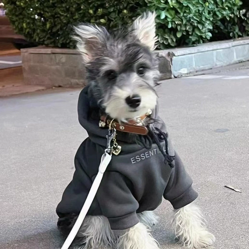Тонкий свитшот с капюшоном 2025 года, осенне-зимний тренд, бренд Schnauzer Teddy Bichon, теплая утолщенная одежда для кошек.