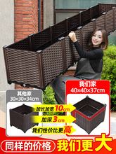 ����N���仨�����Nֲ�����ش�ͥԺ�̨�B���������ь����L����