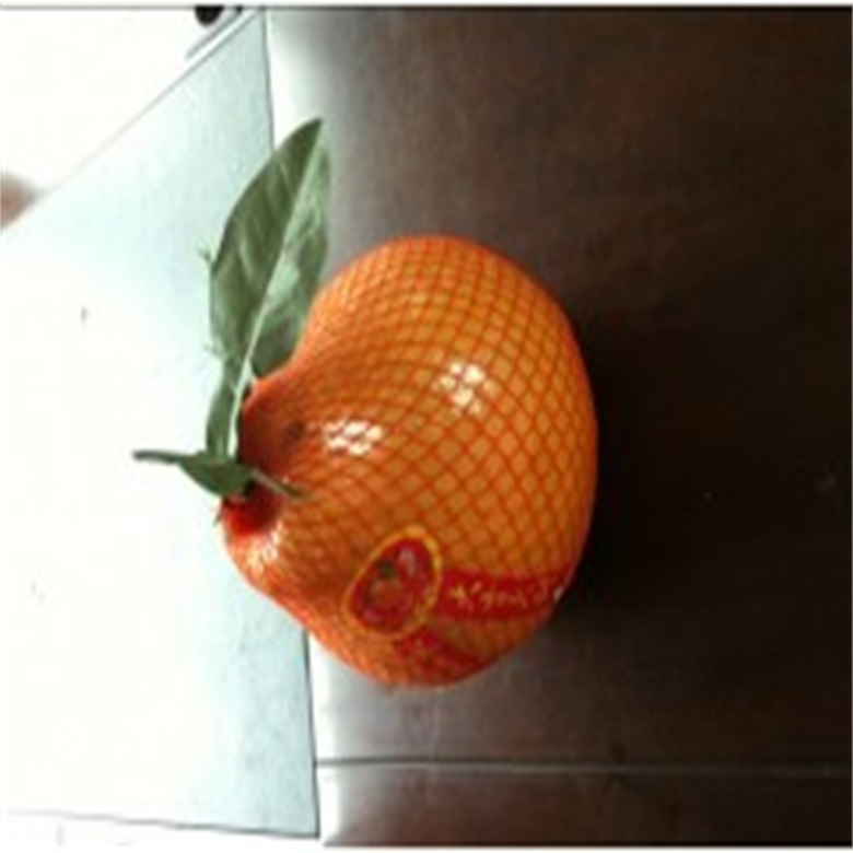 销售 无结网挤出机大蒜包装网机沐浴球浴花网设备 水果网套机设备