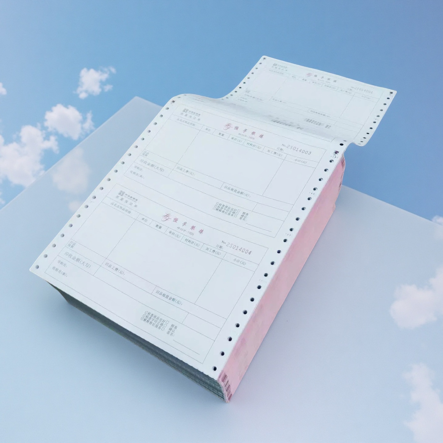 提供苏州印刷电脑表单电脑打孔纸印刷,加工