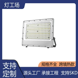 路灯;投光灯;太阳能灯