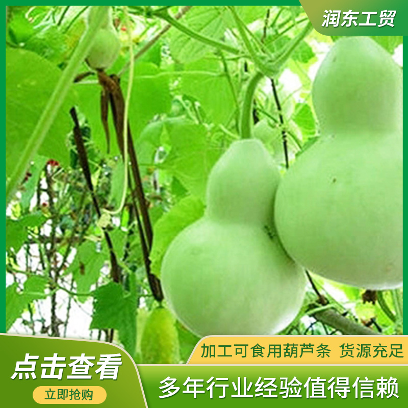 厂家供应新干瓢 食品捆扎用脱水蔬菜干货菜类 可定 制葫芦丝