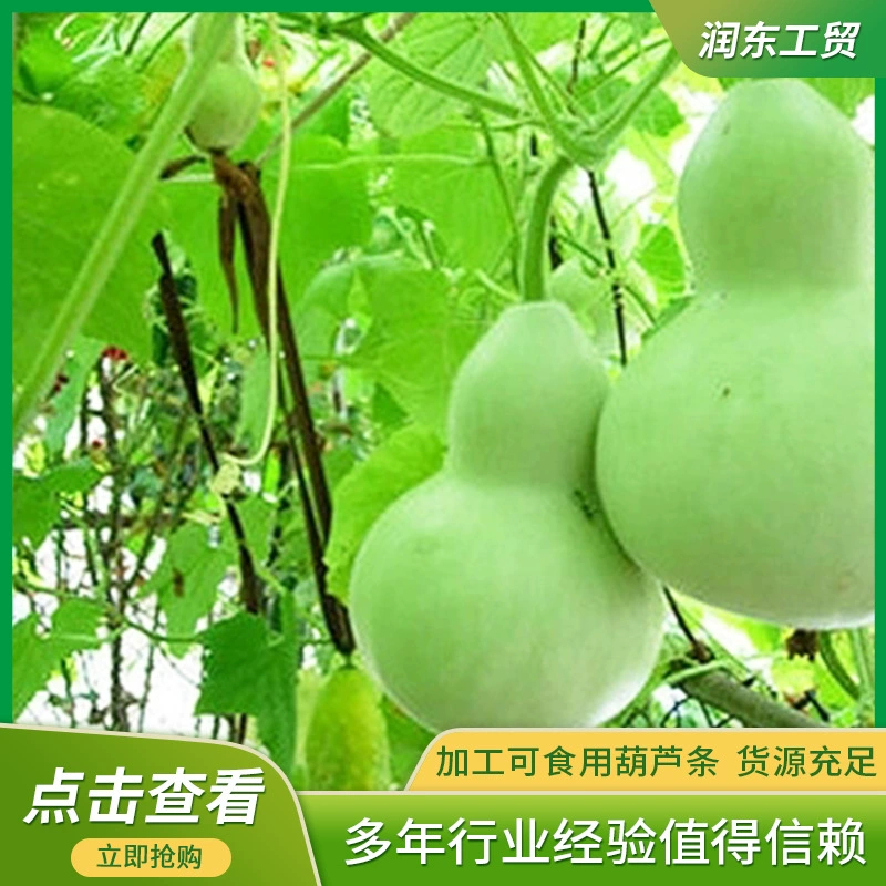 Производитель поставляет новые сушеные овощи для пищевой упаковки, дегидратированные овощи и сухофрукты, которые могут быть переработаны в нарезанные полоски из тыквы.