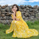 2024 New Style Elegant Celebrity Early Autumn French Light Luxury Women's High-end Floral Chiffon Dress F836