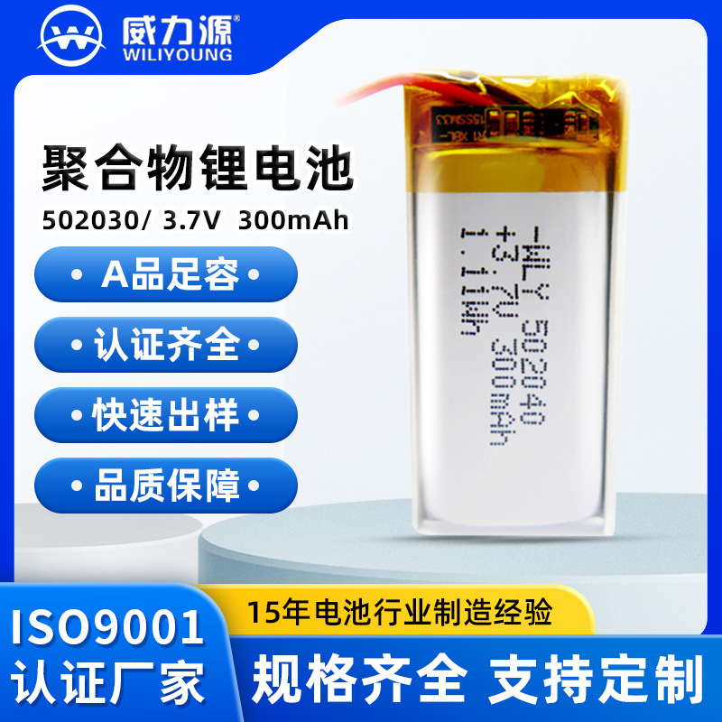 502030/300mAh