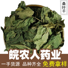 桑叶500g霜桑叶桑叶茶桑叶干泡水霜后桑叶双叶中药材大全代发批发