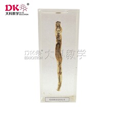 J4115������ ���Ƙ˱� ��С�W����̌W���� ģ��