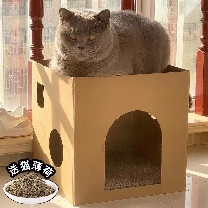 猫が板をつかんで一体的な猫の巣を整理します。猫が寝ています。|undefined