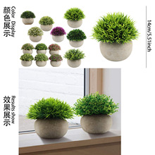 Gֲ԰򼈝{辰MϼҾ[ֲl