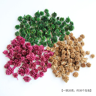 �����ߡ����^�ǡ������ֹ�DIY��Ȼ�ɻ���޹Ϟ�T�b��ò���