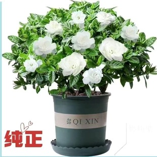 �ļ����_�d�ӻ���ؔ�Gֲ��������ڿ͏d��������ȩ�����՚��