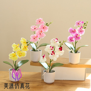 �ٻ����沼�Ϻ����m���^С�辰�k���Ҿ��b���Gֲ�S�����l����