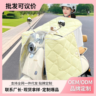 Electric Vehicle Windshield Cover, Universal for All Seasons, Double-Sided Waterproof Battery Motorcycle Sunshade, Thickened Sunshade and Rainproof Spring & Fall