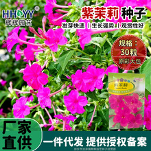 �F؛���l������N�ӵ��׻�ҹ����N���̨����ͥԺ�ļ����_������