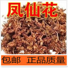 ���P�ɻ��ɻ� �P�ɻ��� ���P�ɻ� ��؛��؛��؛