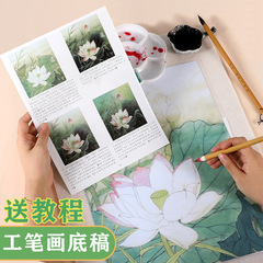 細筆白線原稿中国画ツールセット初心者蓮花鳥牡丹風景大型中国画チュートリアル