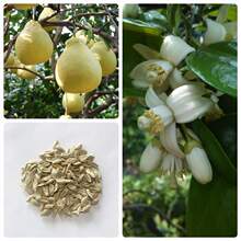 ����N�����ӷN�����ַN��������޽�ɳ���ּt������߮a���ӷN��