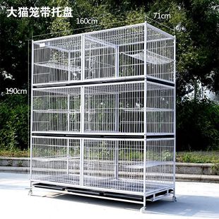 �S��ֱ�N���] ���ӷ�ֳ�\؈�\����\��ֳ�\�����ӻ\���ӻ\