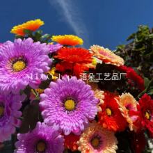 ����ջ� ��������7ͷ�ջ� �������� ��Ӱ��������װ�η��滨�ٻ�