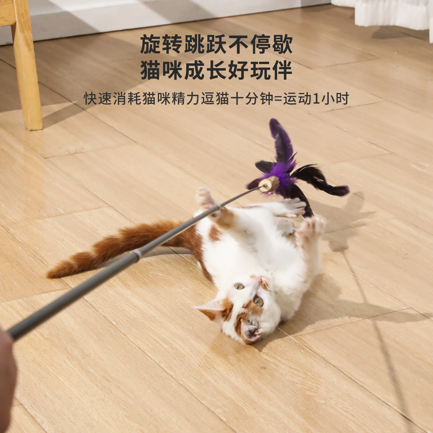 Z nuevo mango de madera maciza varilla de fibra de carbono piel de zorro telescópica palo de gato al por mayor pluma de animal juguete de gato varilla de gato divertido