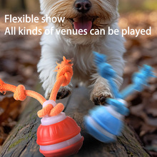 宠物智能电动滚动球猫猫狗狗自嗨解闷智能耐咬逗狗球磨牙玩具