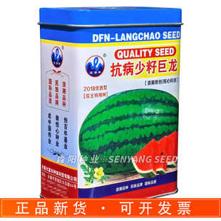 �˳��������Ѿ������ϷN�����컨Ƥ�����Ͽ����߮a�������ϵ��׹�