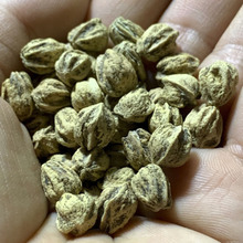 菩提子籽子散手链菩提原子百香振文玩多子文玩百香百香菩提水晶