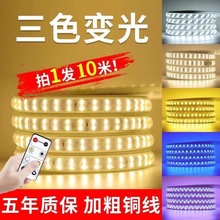 220v高压2835柔性软三色5050rgb霓虹led灯带批发户外防水5730灯条