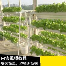 水培种植架阳台多层LED植物创意盆栽光灯机种植水培带器皿