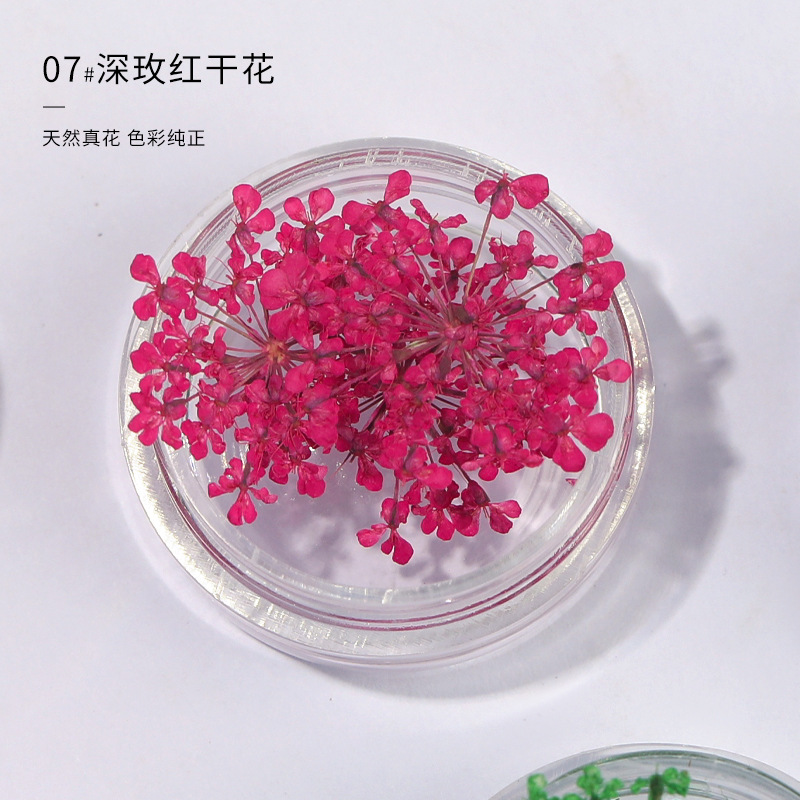 로즈 레이스 플라워 (3 박스)