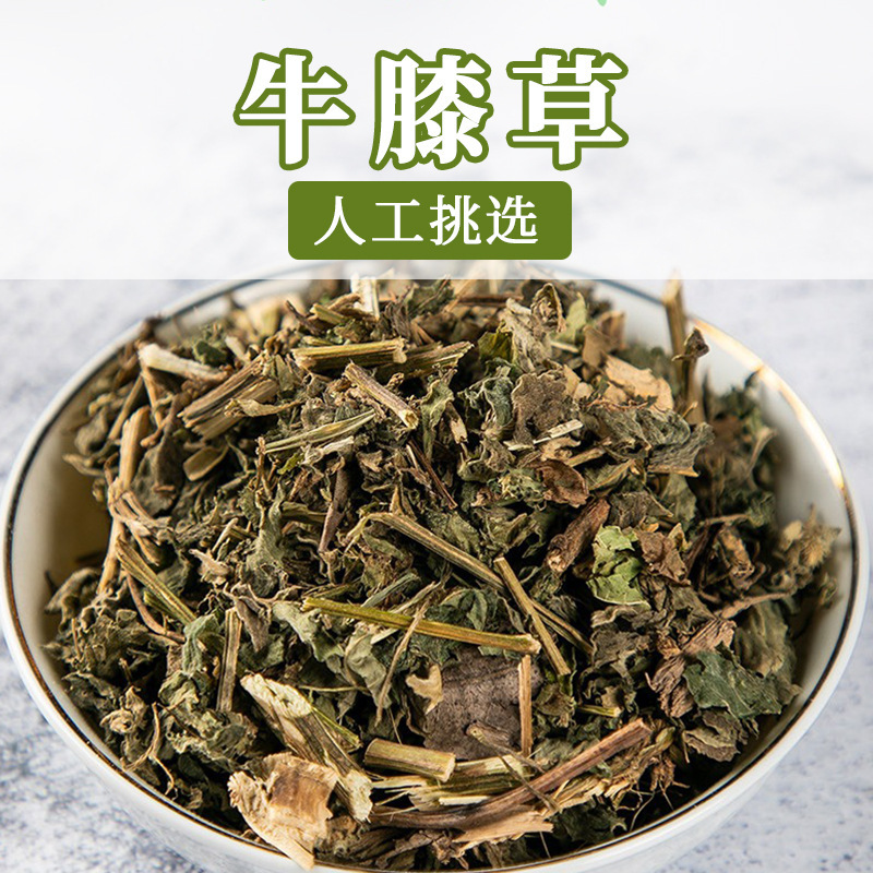 Niukexiaosan, Shenxiangcao, Chinese Herbal Medicine Wholesale, Clean and Impurity-Free Chinese Herbal Medicine, Large-Scale Processing of Various Medicinal Materials Niukexiaosan, Shenxiangcao, Chinese Herbal Medicine Wholesale, Clean and Impurity-Free Chinese Herbal Medicine, Large-Scale Processing of Various Medicinal Materials