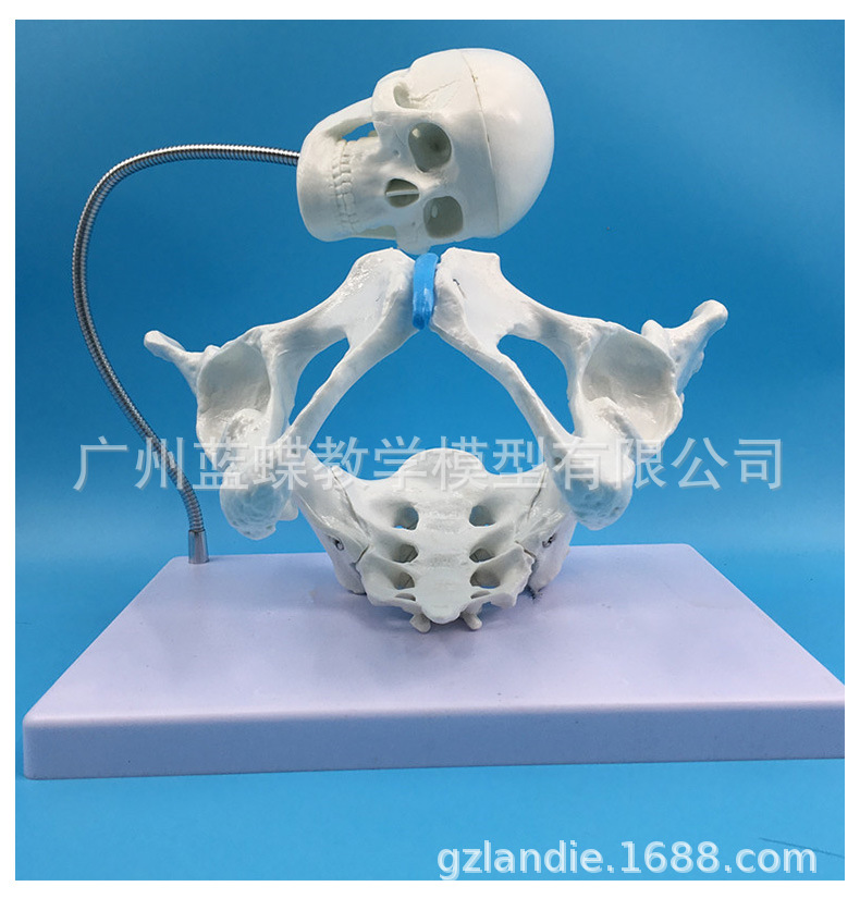 详情_23