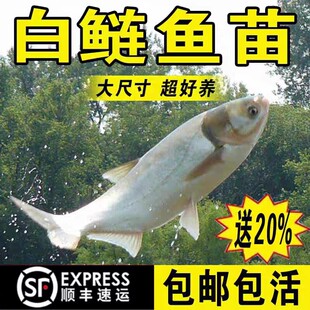 ���|�����~������������ӻ���ˮ���I�~�Ĵ���~��ˮ�Bֳ���w�~��