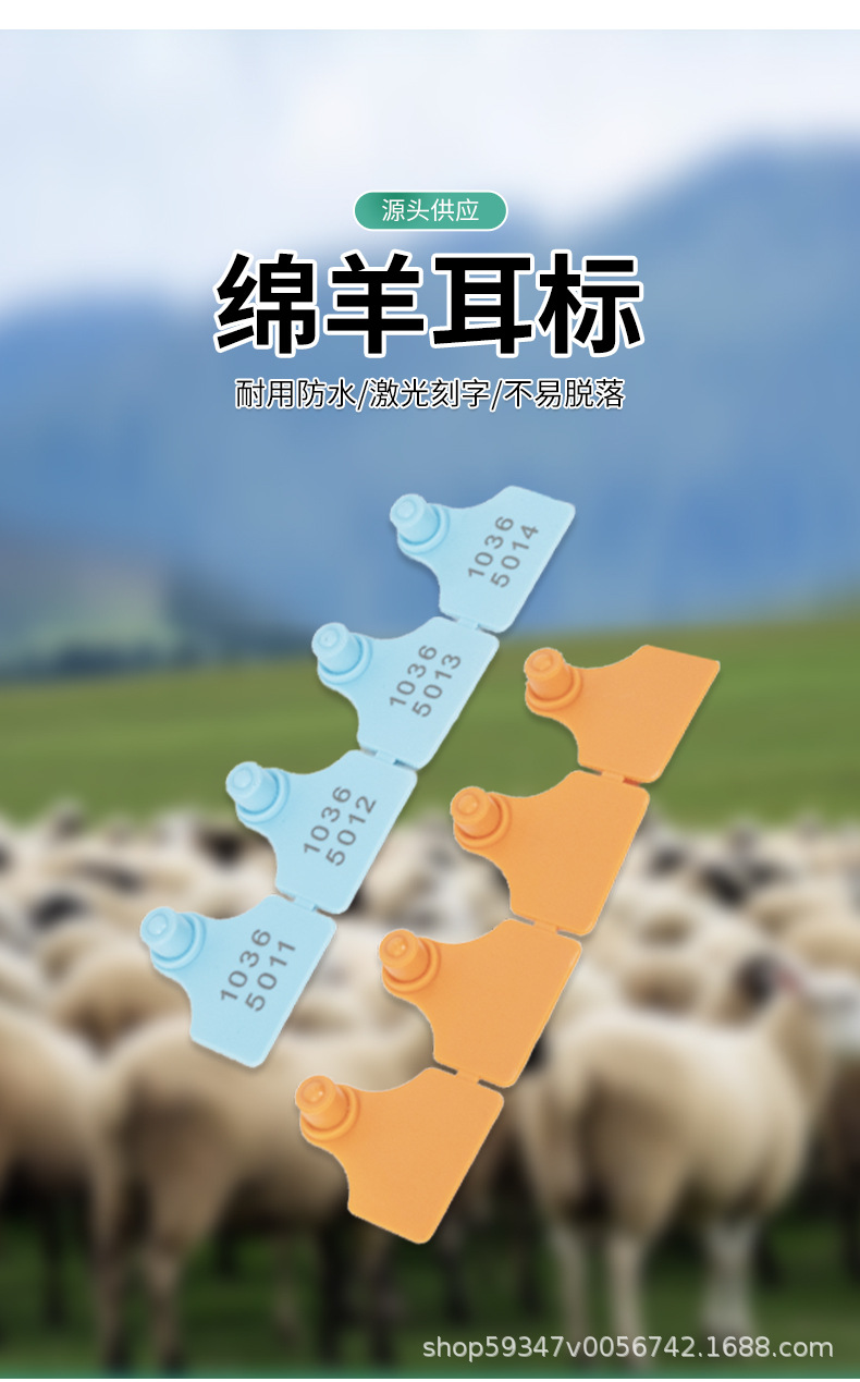 绵羊耳标-6_05.jpg